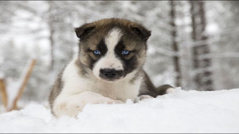 Anställd inom skidcenter- eller programservicebranschen – undrar du över lockouten?