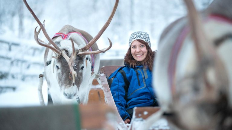 Safariföretagen har blivit professionella, men arbetet är fortfarande säsongsbetonat