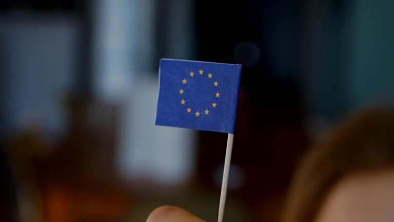 PAM European election candidates: PAM members should vote in the EU elections