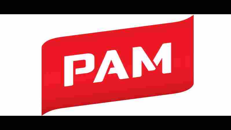 PAMs styrelse beslutade om nya politiska strejker