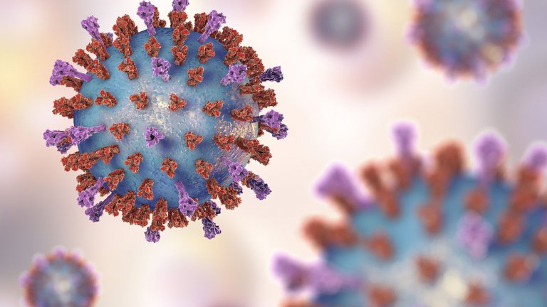 Quarantine does not entitle you to postpone annual holiday